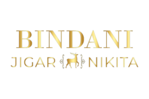 bin logo